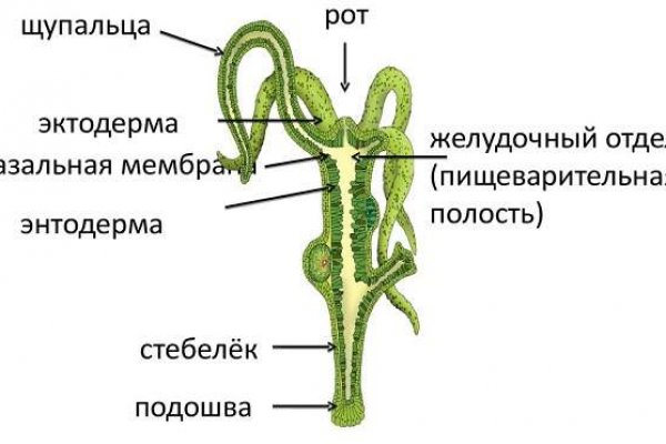 Kraken ссылка зеркало официальный сайт