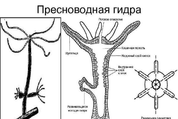 Кракен телегрф